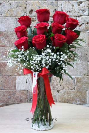 Eleven Roses in a Vase
