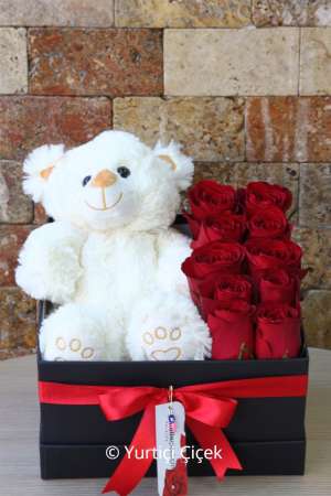10 Roses and Teddy Bear in a Box