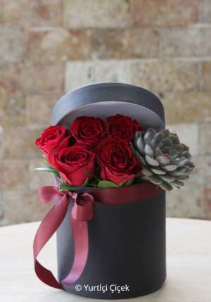 Box Roses Series 2