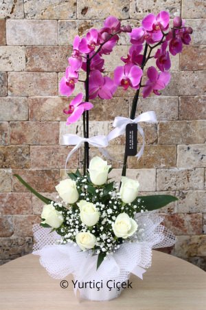 Double Purple Orchids and White Roses