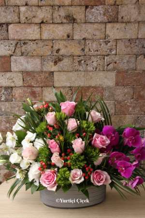 Special Design Arrangement Series 7
