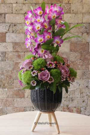 Dendrobium Fragrant Orchid 2
