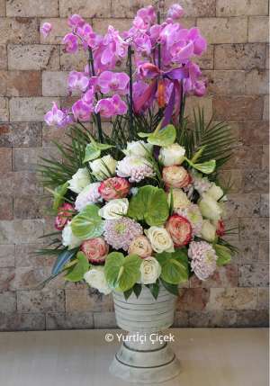 Orchid Arrangement Series 2