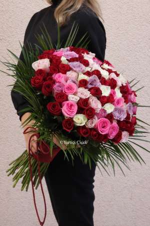 101 Colour Roses