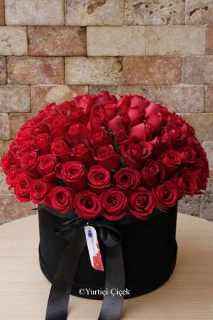 80 Red Roses in Box