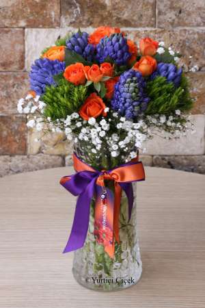 Hyacinth Series 8