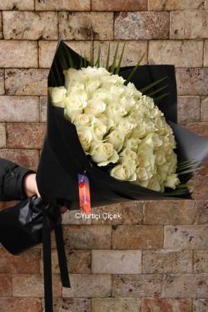71 White Rose