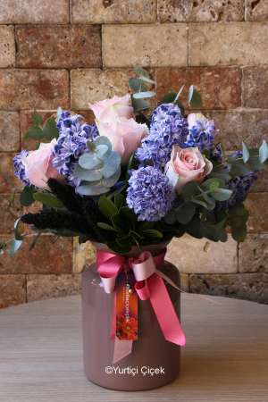 Hyacinth Series 2
