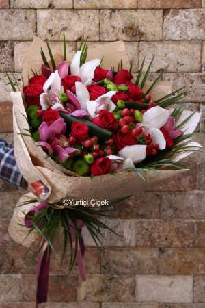 Cymbidium Series 3
