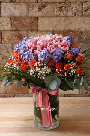 Hyacinth Series 3