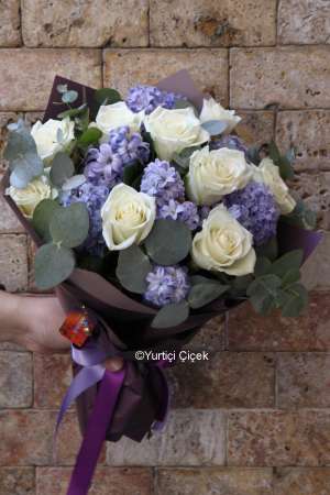 Hyacinth Series 5