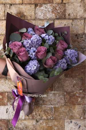 Hyacinth Series 6