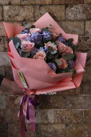 Hyacinth Series 7