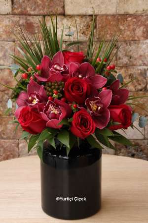 My Dear Darling Series 6