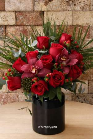 My Dear Darling Series 17