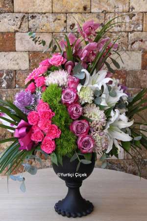 Special Design Arrangement Series 4