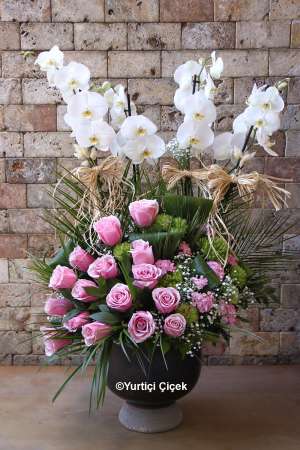 Orchid Arrangement Series 6