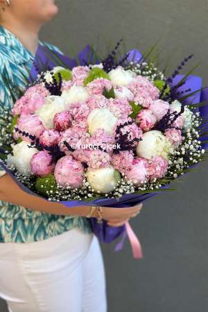 Peony Series 19
