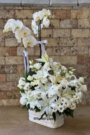 Lily Arrangement and Orchid Series 3