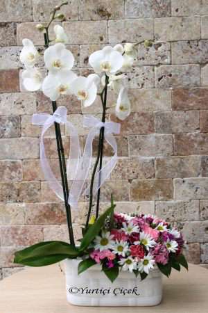 White Orchids and Seasonal Flowers